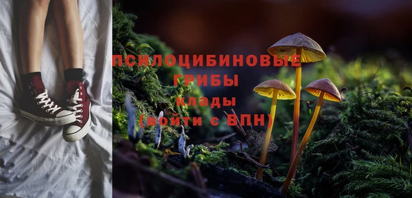 2c-b Алексин